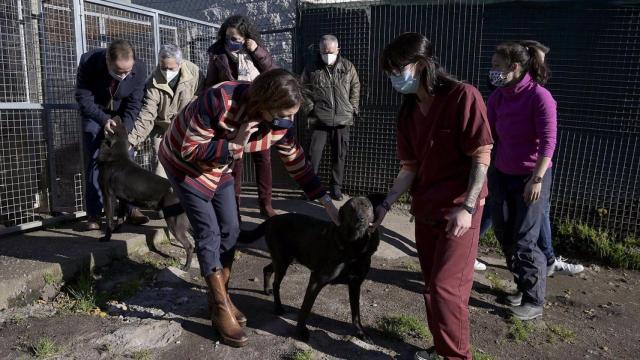 La conselleira de Medio Ambiente, Ángeles Vázquez, visita las instalaciones de Gatocan.