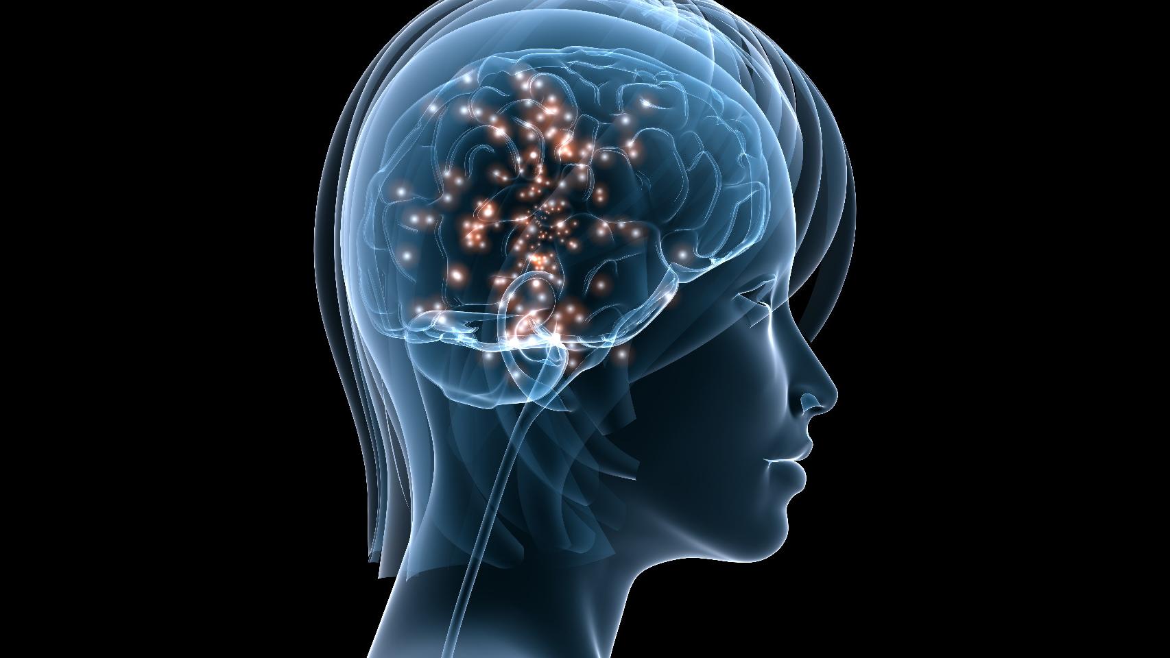 Representación de la actividad neuronal.