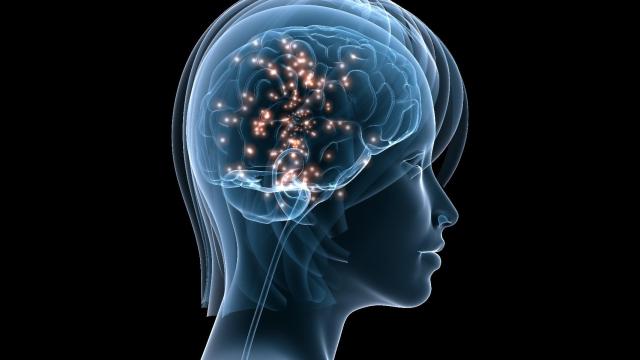 Representación de la actividad neuronal.