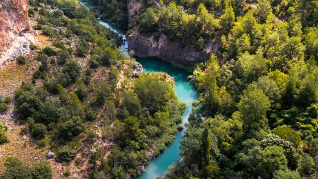 El proyecto conquense 'Urban Forest Innovation Lab' promueve el desarrollo de ideas basadas en la bioeconomía forestal circular.