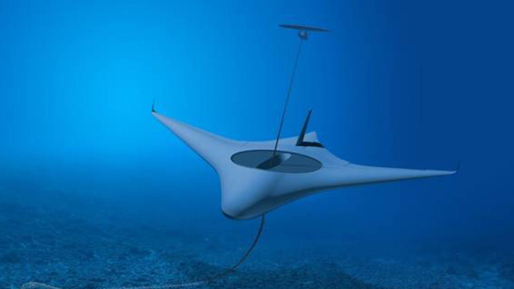 Manta Ray
