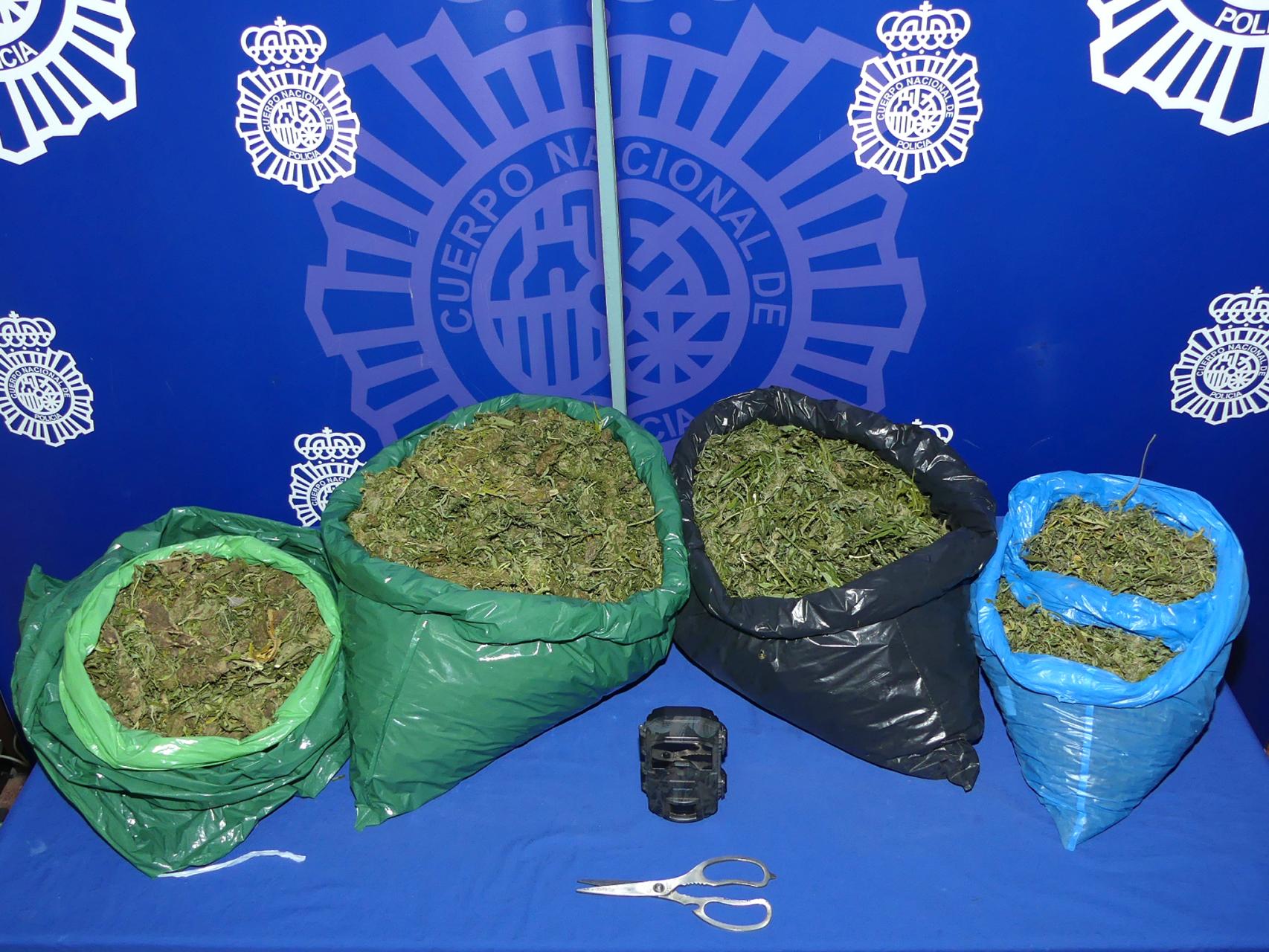 Marihuana intervenida en el garaje de Santa Marta