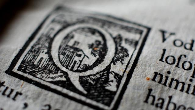 Las cinco palabras más largas en español