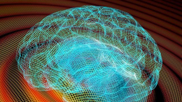 La sonda fabricada con grafeno es capaz de grabar todo el espectro de señales cerebrales. IMAGEN: CSIC