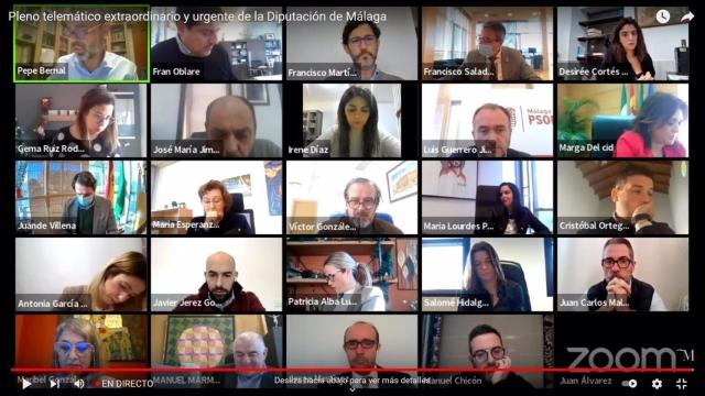 Una imagen del Pleno telemático.