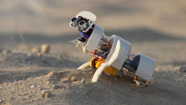 A'seedbot