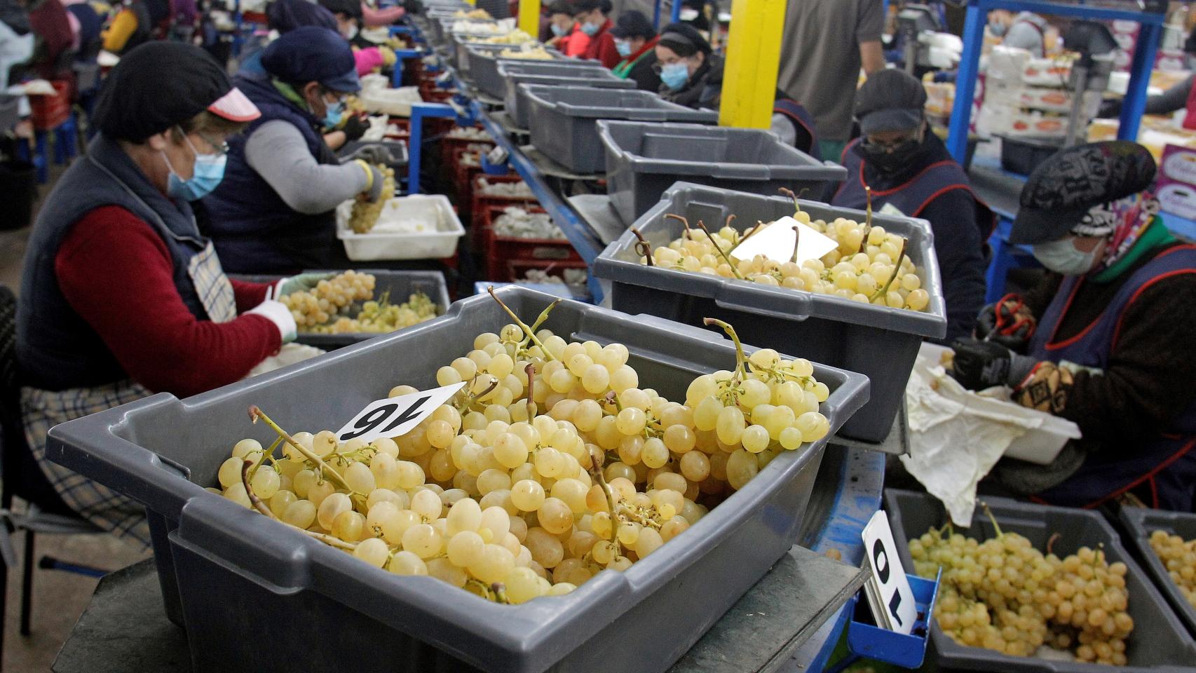 Los racimos sobrantes de la Nochevieja se pueden aprovechar con seis sencillas recetas-