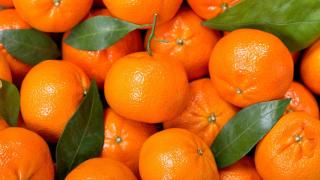 Los cítricos brillan en invierno y enero no es una excepción. Naranjas, limones, mandarinas, clementinas, pomelos… ¿con cuál te quedas?(Fuente: Shutterstock)