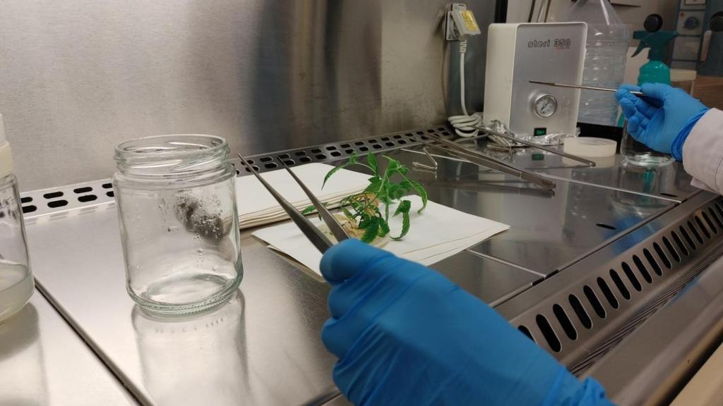 Laboratorio de investigación