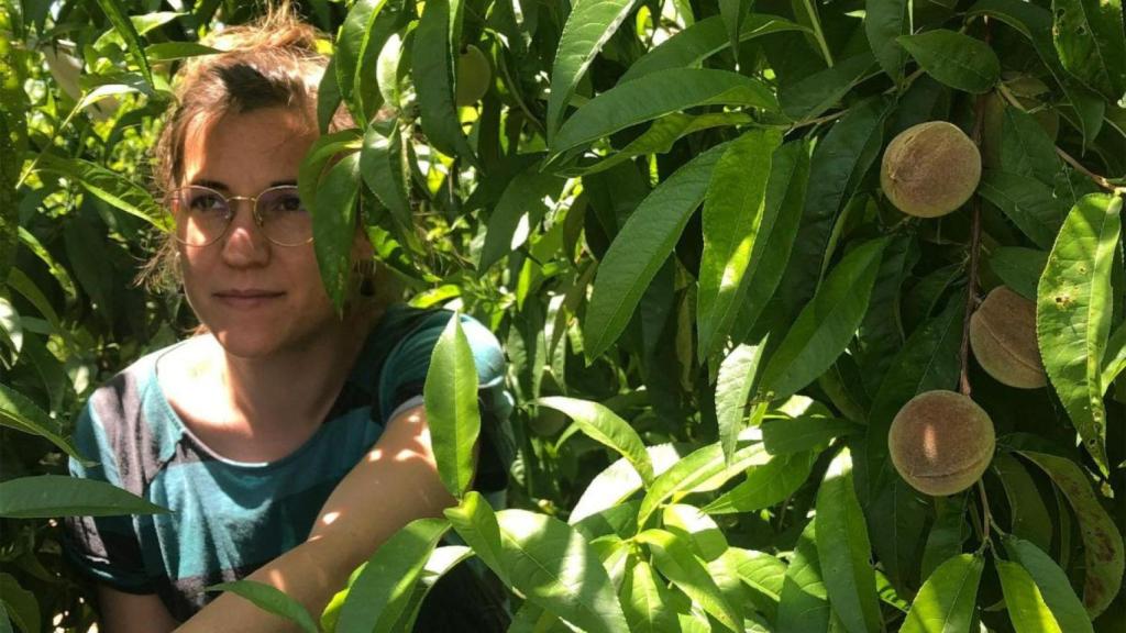 Carla Simón en el rodaje de 'Alcarrás'.