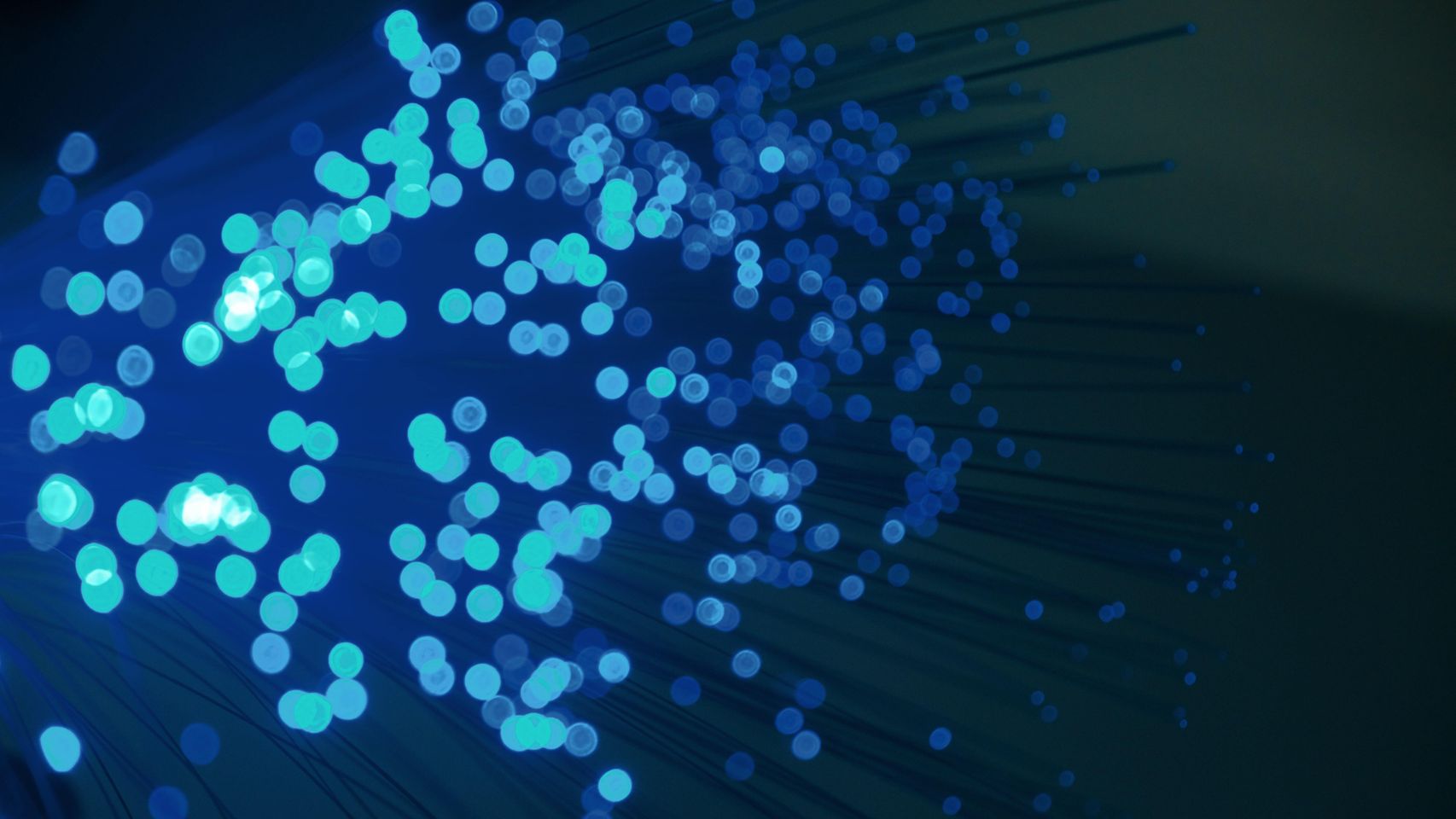 Las redes como servicio prometen una mayor flexibilidad y ahorro de costes a las empresas que necesitan infraestructuras cada vez mayores para soportar su digitalización. Foto: Compare Fibre / Unsplash.