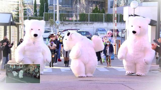 'Sálvame' da lo mejor de sí llevando a plató al oso perjudicado de la cabalgata de Cádiz