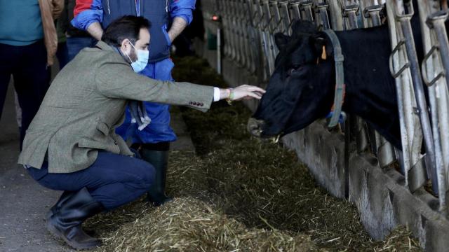 Paco Núñez, este lunes en una explotación ganadera de Pepino (Toledo).