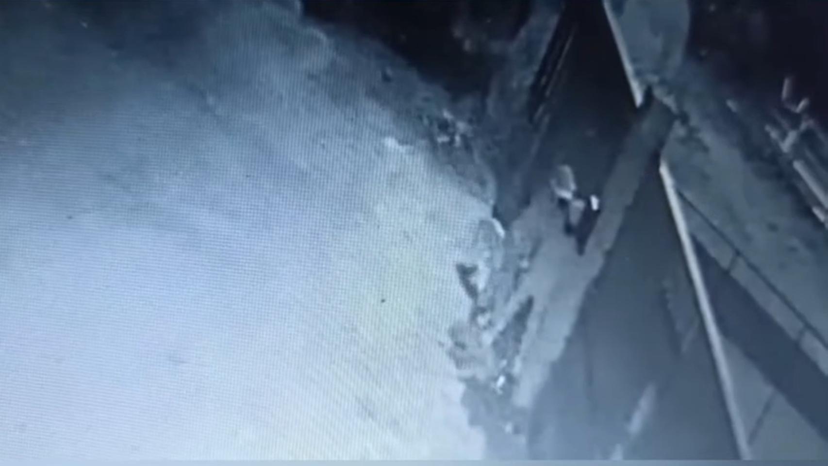 Imágenes de la cámara de seguridad de la protectora