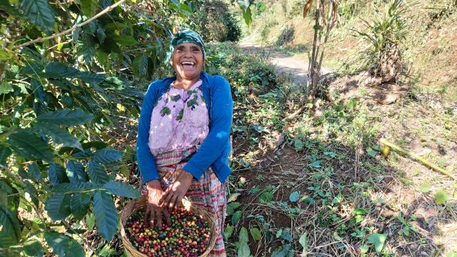 Ethichub ayuda a los productores de café de México a financiarse al margen de los bancos gracias al 'blockchain' y su token Ethix.