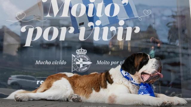 Una de las mascotas deportivistas en Riazor.