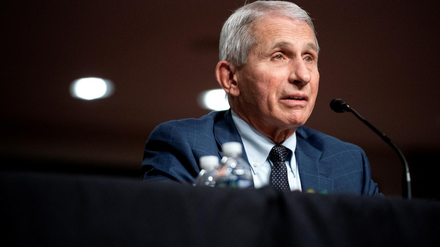El principal epidemiólogo del Gobierno de EEUU, Anthony Fauci, durante su comparecencia en el Senado.