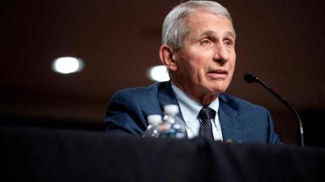 El principal epidemiólogo del Gobierno de EEUU, Anthony Fauci, durante su comparecencia en el Senado.