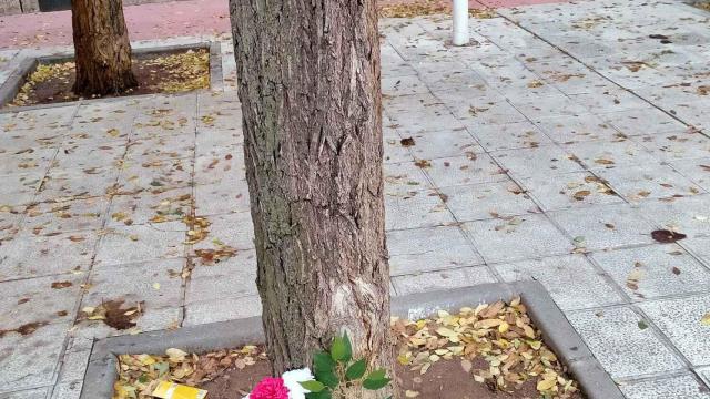 Una imagen del joven asesinado el pasado 31 de octubre en Toledo.