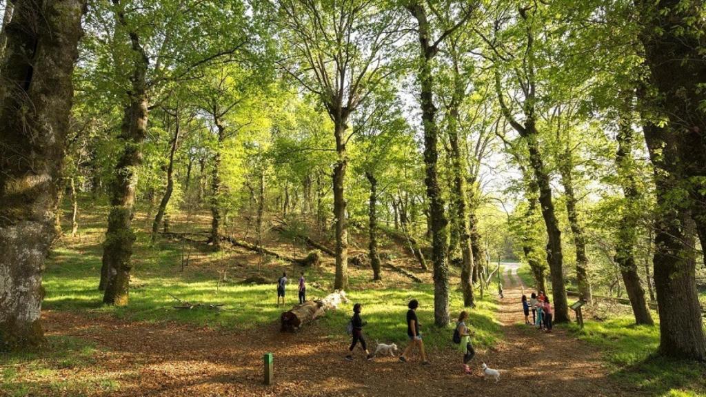 Fraga de Catasós, en Lalín. Imagen: Turismo Rías Baixas