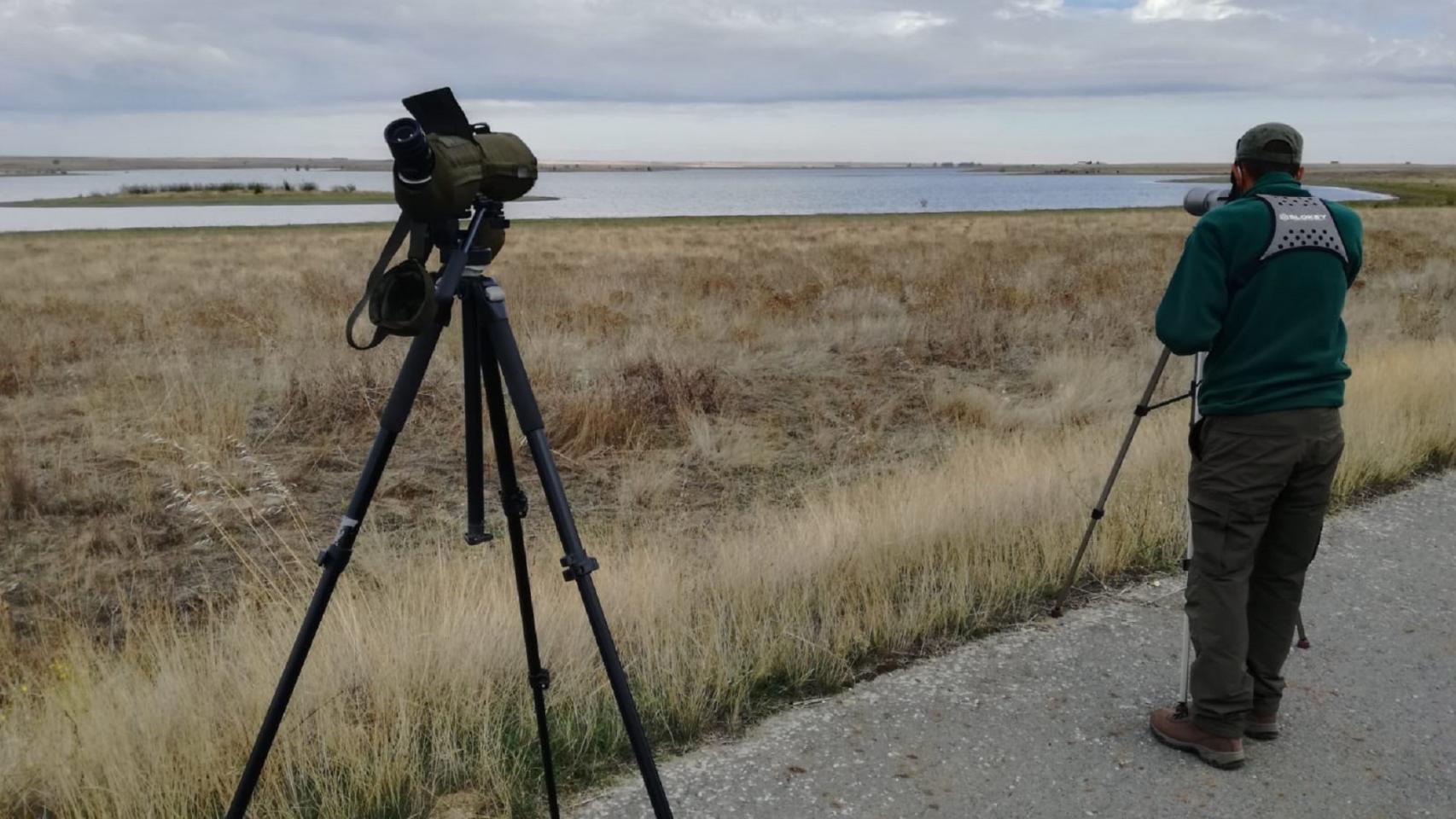 Observación aves acuáticas en humedales de CyL