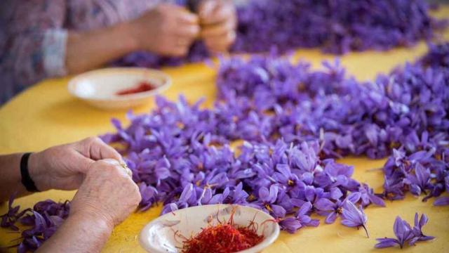 Dos empresas agroalimentarias se suman a la marca 'Campo y Alma' de Castilla-La Mancha