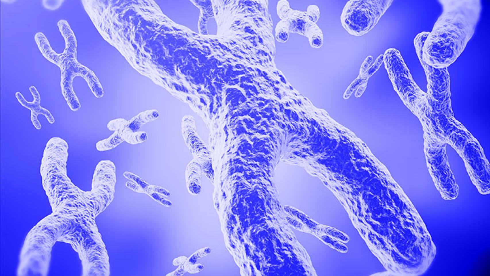 La prestigiosa revista 'Nature Communications' publicó el pasado diciembre resultados muy prometedores de la tecnología de Integra Therapeutics.