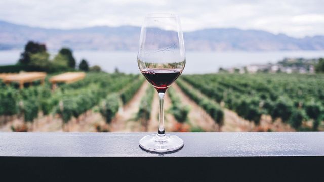 Los vinos gallegos con Indicación Xeográfica Protexida que triunfan con voz propia