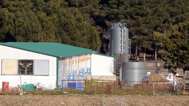 Granja de especies domésticas