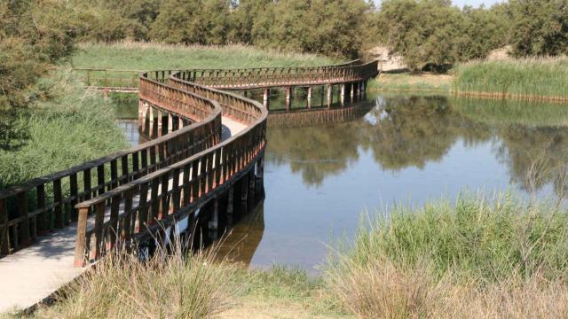 Arranca el juicio por el vertido de aguas sin depurar de varios pueblos en las Tablas de Daimiel