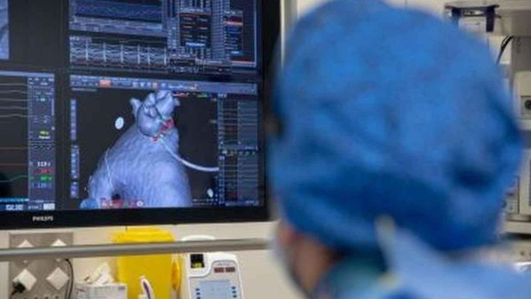 Estos son los factores de riesgo en las mujeres para morir por problemas cardiacos después de los 50.