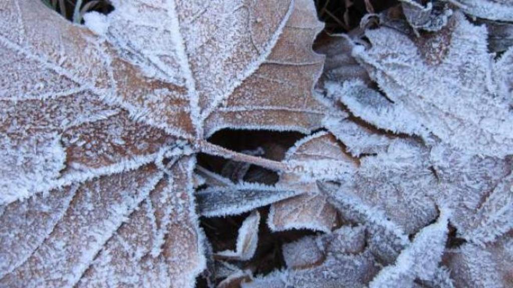 Morón de Almazán registra la temperatura más baja del país al alcanzar los 6,9 grados bajo cero
