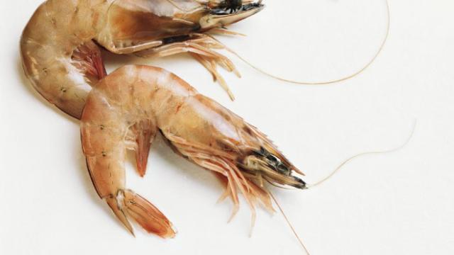 Gambas y otros mariscos pueden contener plomo como consecuencia de la contaminación.