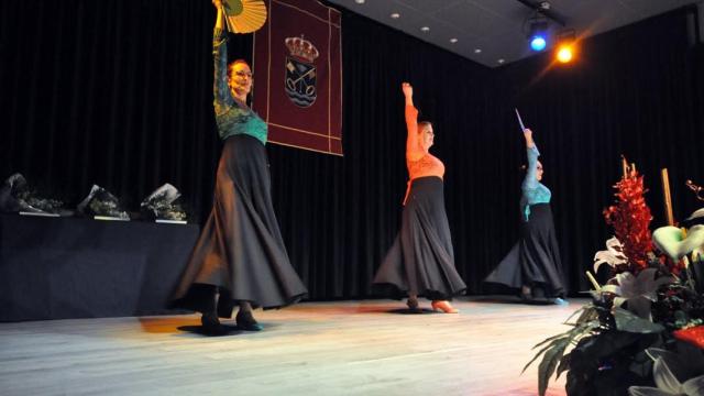 Un espectáculo en las fiestas de San Blas./ Archivo