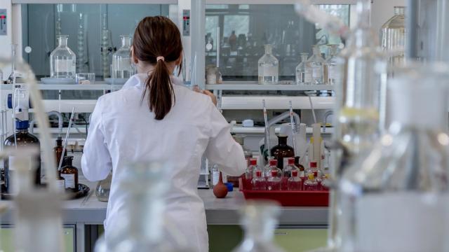 Una científica trabaja en el laboratorio