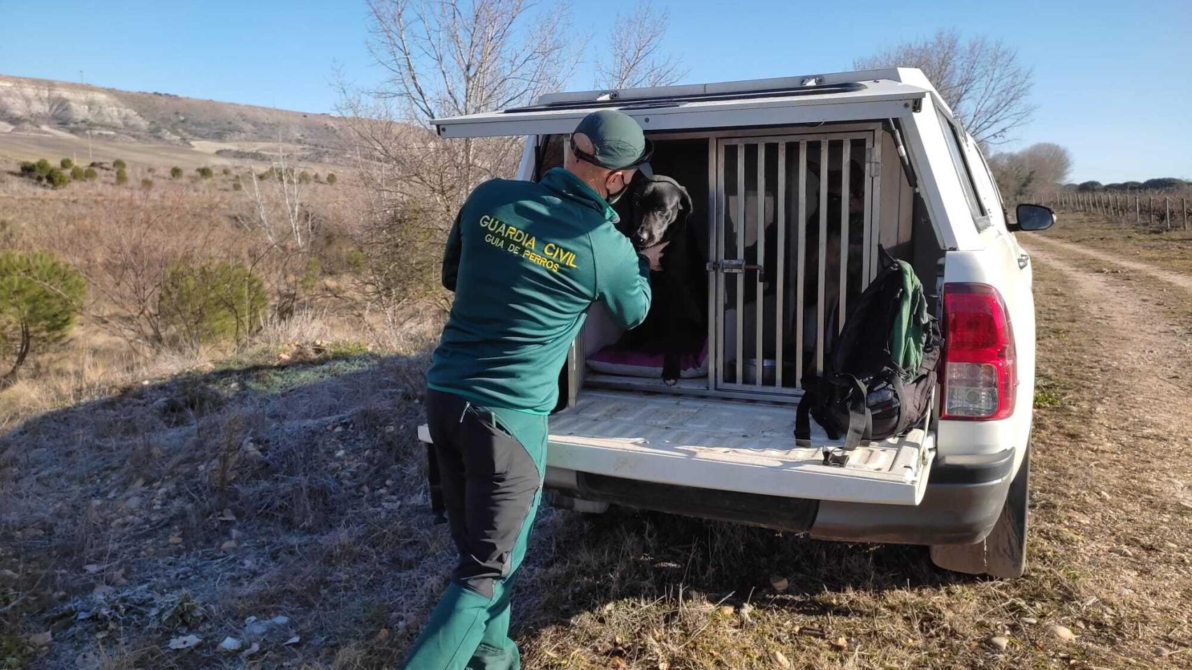 GALERÍA DE FOTOS | La búsqueda de Esther no cesa en Traspinedo