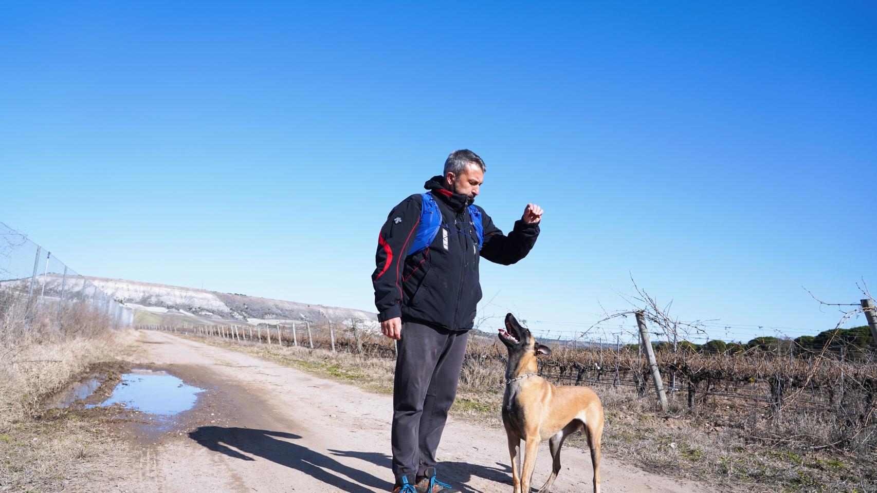 De Posada a Traspinedo: el pastor belga que quiere ayudar./ Miriam Chacón ICAL