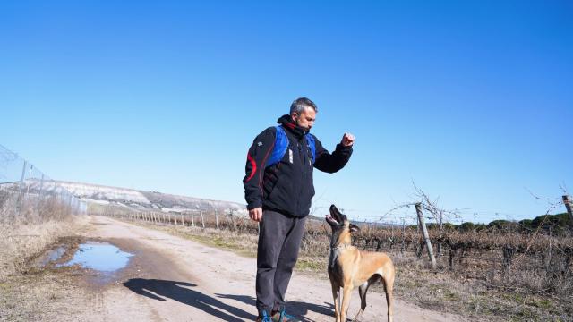 De Posada a Traspinedo: el pastor belga que quiere ayudar./ Miriam Chacón ICAL
