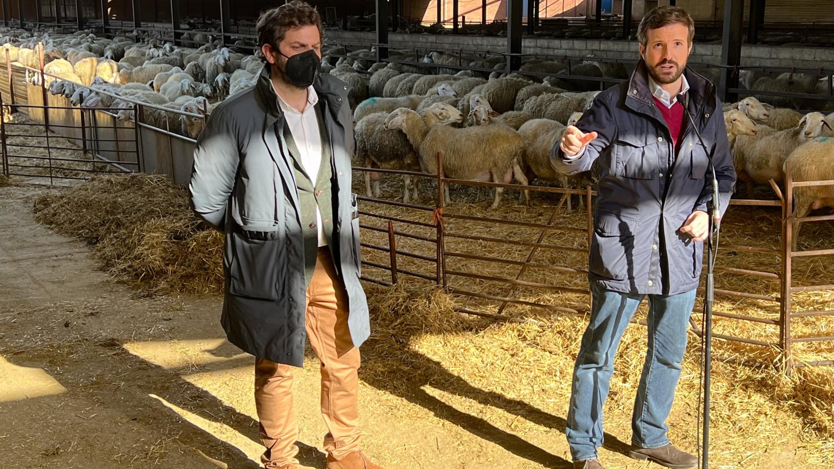 Casado durante la visita a una quesería de la localidad leonesa de Matadeón de los Oteros