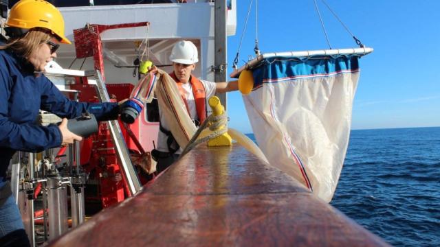 Campaña de recogida de muestras realizada por el equipo del ICTA-UAB.