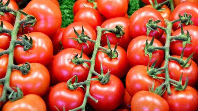 Tomates en rama.