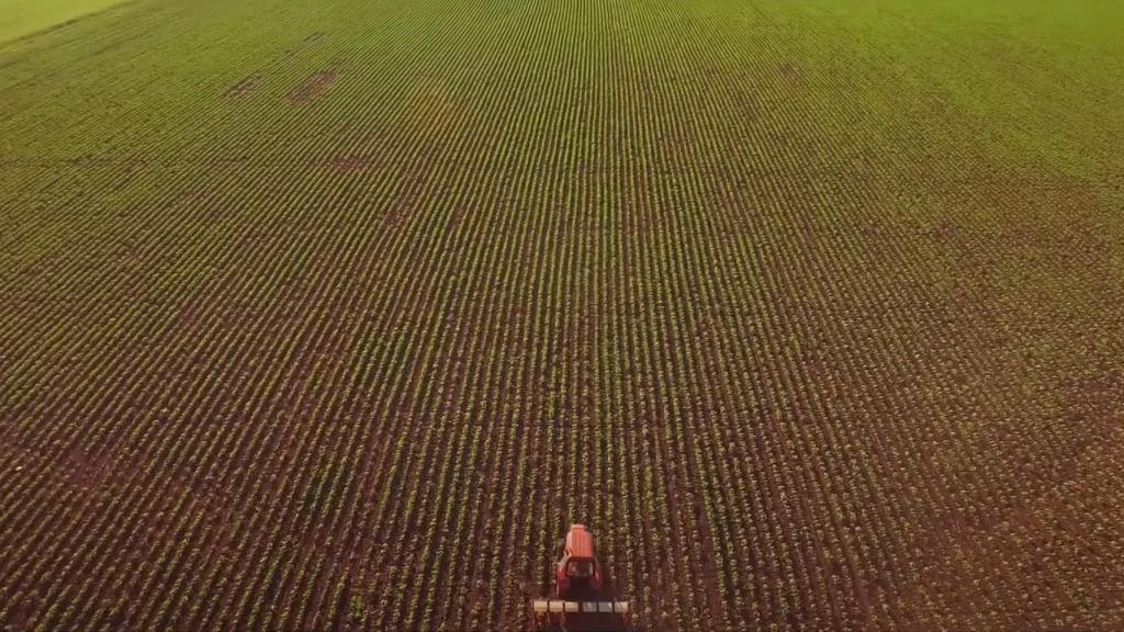 Un tractor en un cultivo.