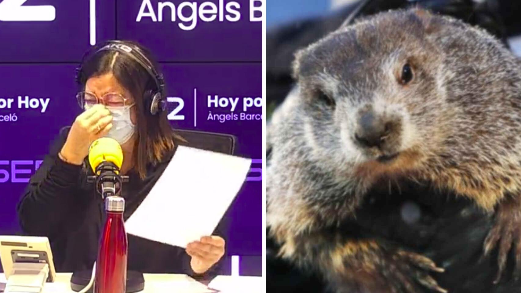 Fotomontaje de Angels Barceló y la marmota Phil.