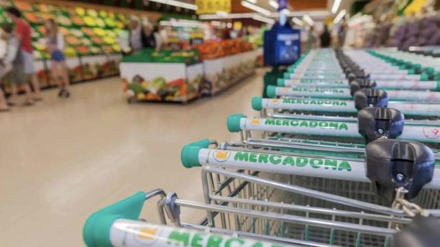 Carritos de Mercadona.