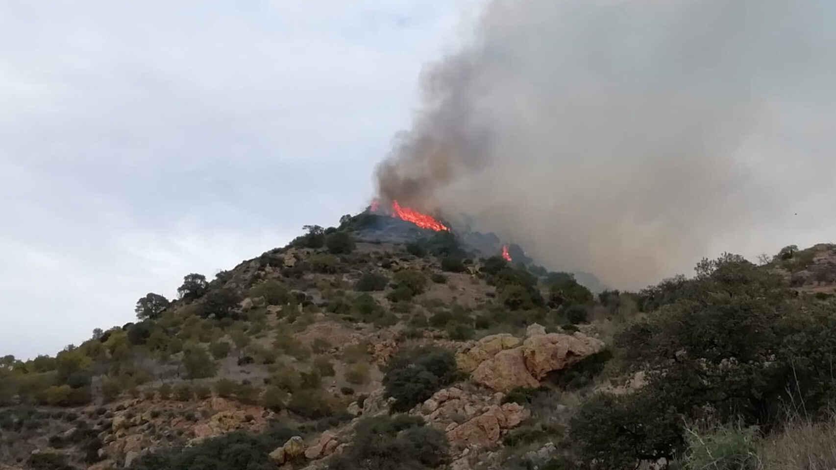 Fuego en el municipio de Almogía (Málaga).