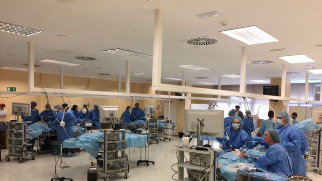 El portavoz de Sanidad del PP reclama la implantación de Medicina en la Universidad de Alicante.