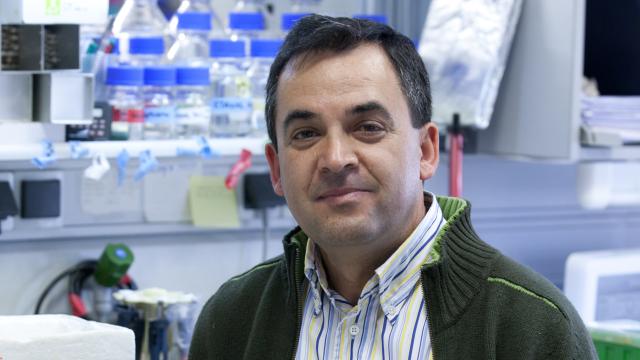 Isidro Sánchez-García, del Centro de Investigación del Cáncer (CISC-Universidad de Salamanca).