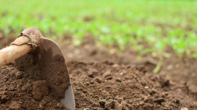 azada campo rural agricultura