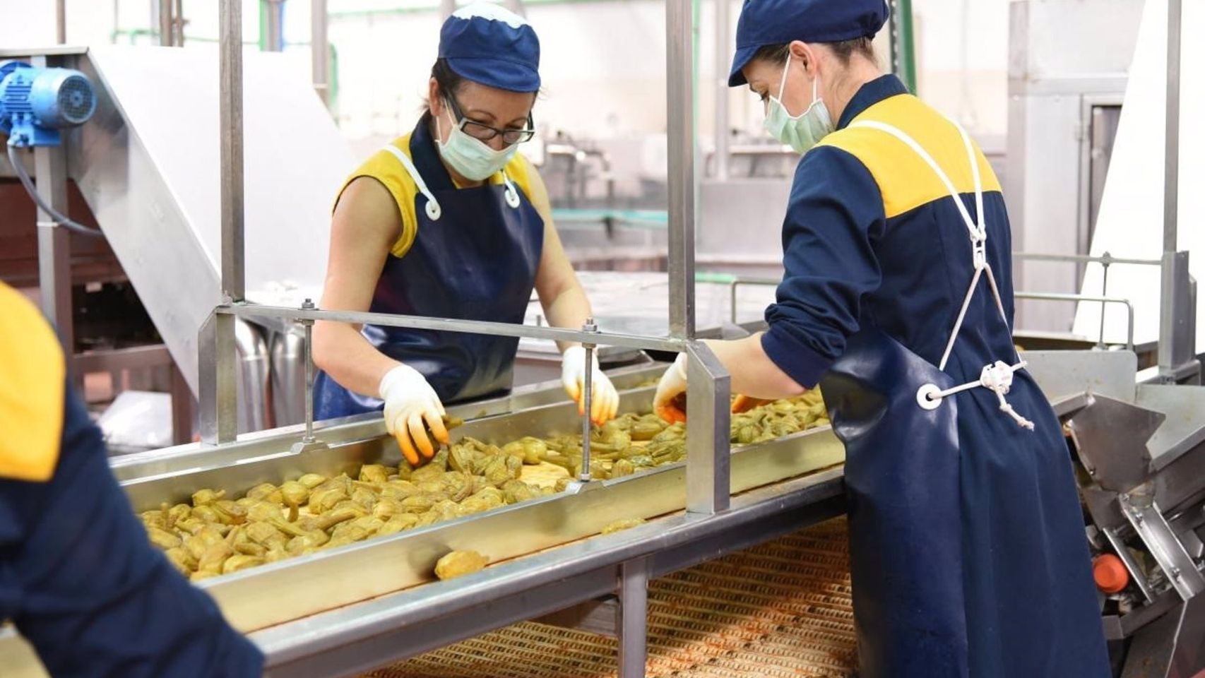 Imagen de mujeres trabajadoras en una fábrica de alimentación