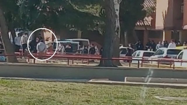 Foto: Real Federación Española de Colombicultura